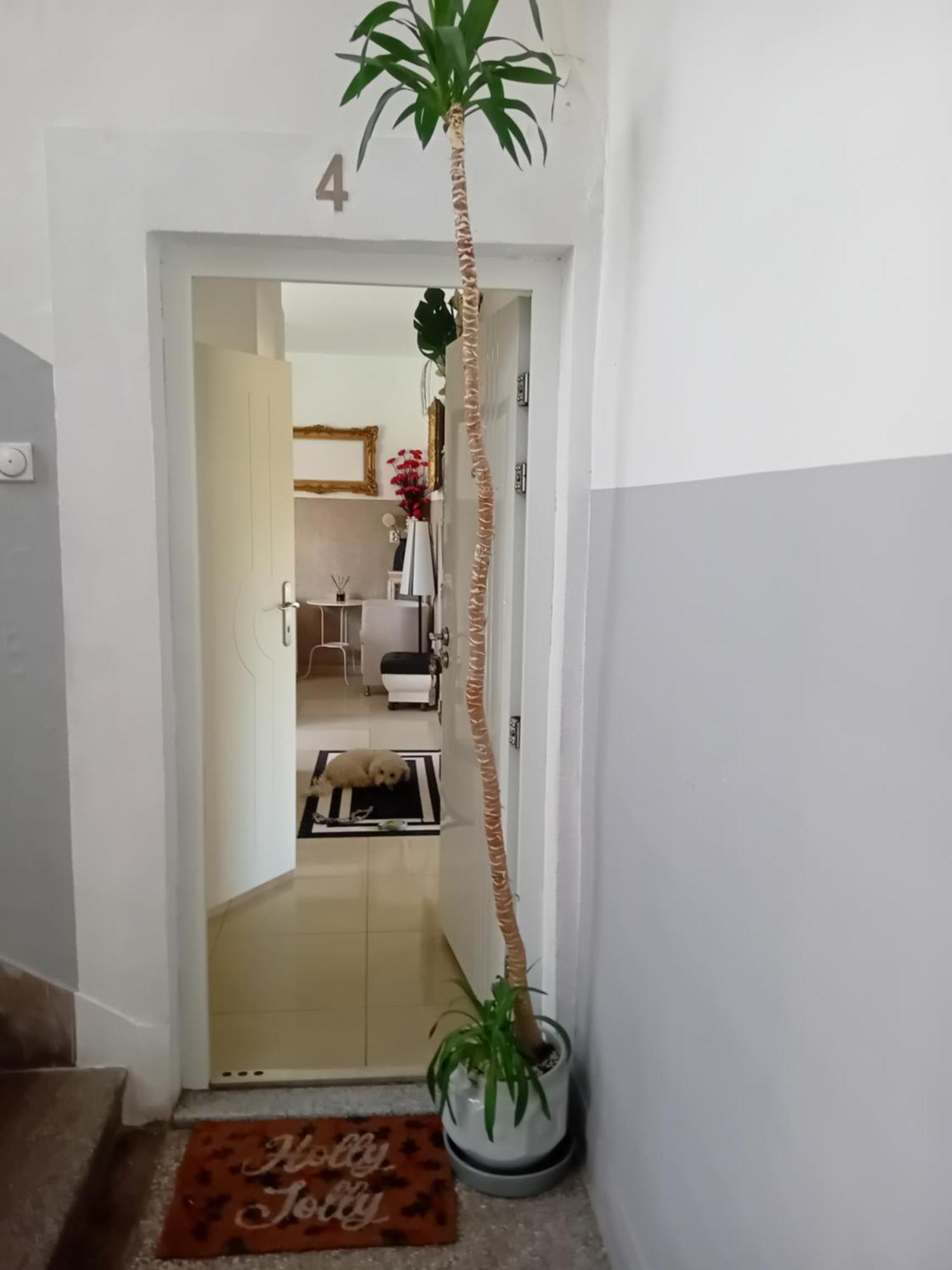 Apartment Top Centar Banja Luka Eksteriør bilde